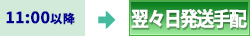 11：00以降　翌々日配達手配