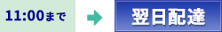 11：00まで　翌日配達