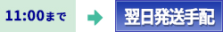 11：00まで　翌日配達手配